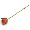 EN GRY & SIF Rose
