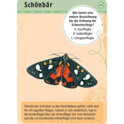 Moses Kartenset - 50 heimische Schmetterlinge "Expedition Natur"