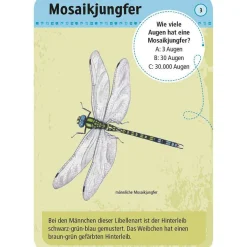 Moses Kartenset - 50 heimische Insekten & Spinne "Expedition Natur"