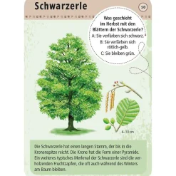 Moses Kartenset 50 heimische Bäume 