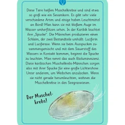 Moses Kartenset 50 Tierrätsel - Tricks&Tarnung 