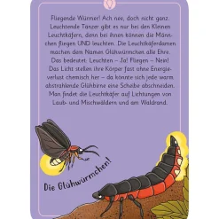Moses Kartenset 50 Tierrätsel - Wald 