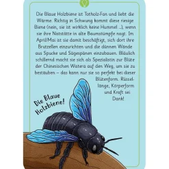 Moses Kartenset 50 Tierrätsel - Insekten "Expedition Natur"