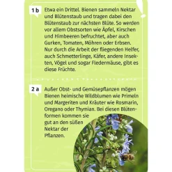 Moses Mein Garten-Forscherquiz 