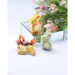 Venchi Geschenkdose Bunny mit Schokoladeneiern